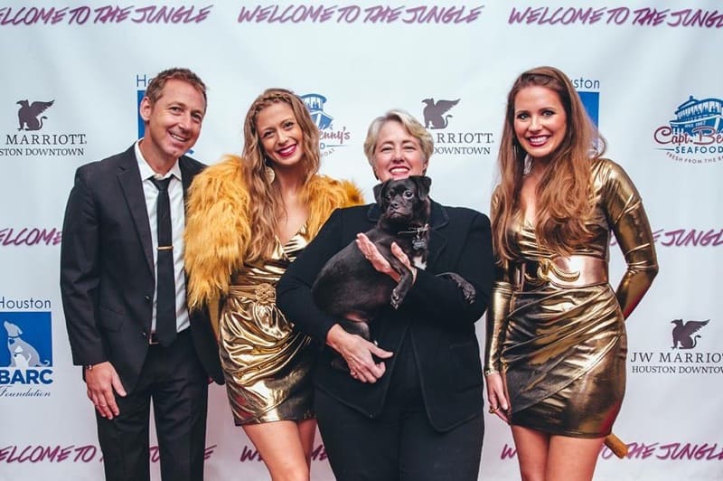 Welcome to the Jungle