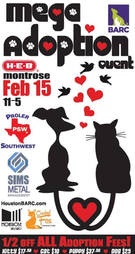 Mega Adoption Event, 021514